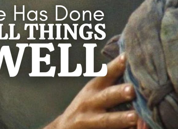 He Does All Things Well He Does All Things Well