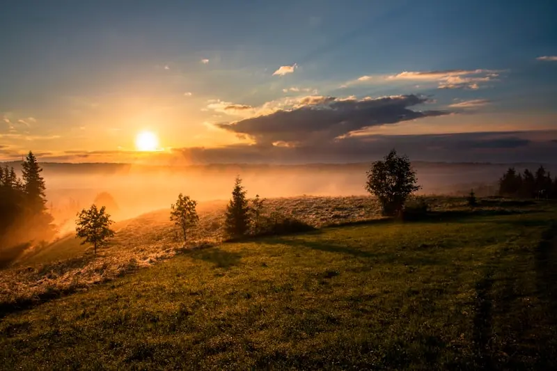 Morning Grace